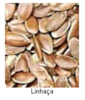 Caixa de texto:  
Linha�a

