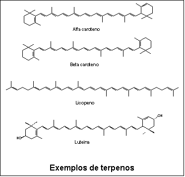 Caixa de texto:  

Exemplos de terpenos
