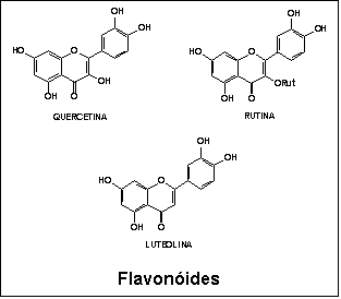 Caixa de texto:  

Flavon�ides
